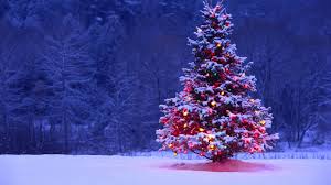 Christmas Tree 02