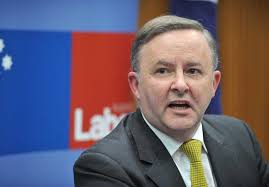 Labors Anthony Albanese