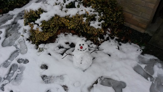 Simon Snowman image