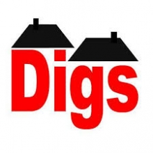 Digs Campaign Group Say &#039;Yes DSS&#039;