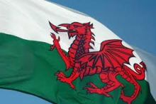 Welsh Flag