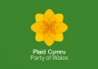 Plaid Cymru’s Annual Conference in 2019