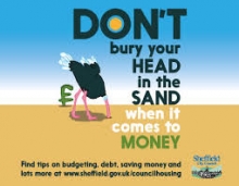 Sheffield Councils Ostrich Campaign Helps Spread Money Message